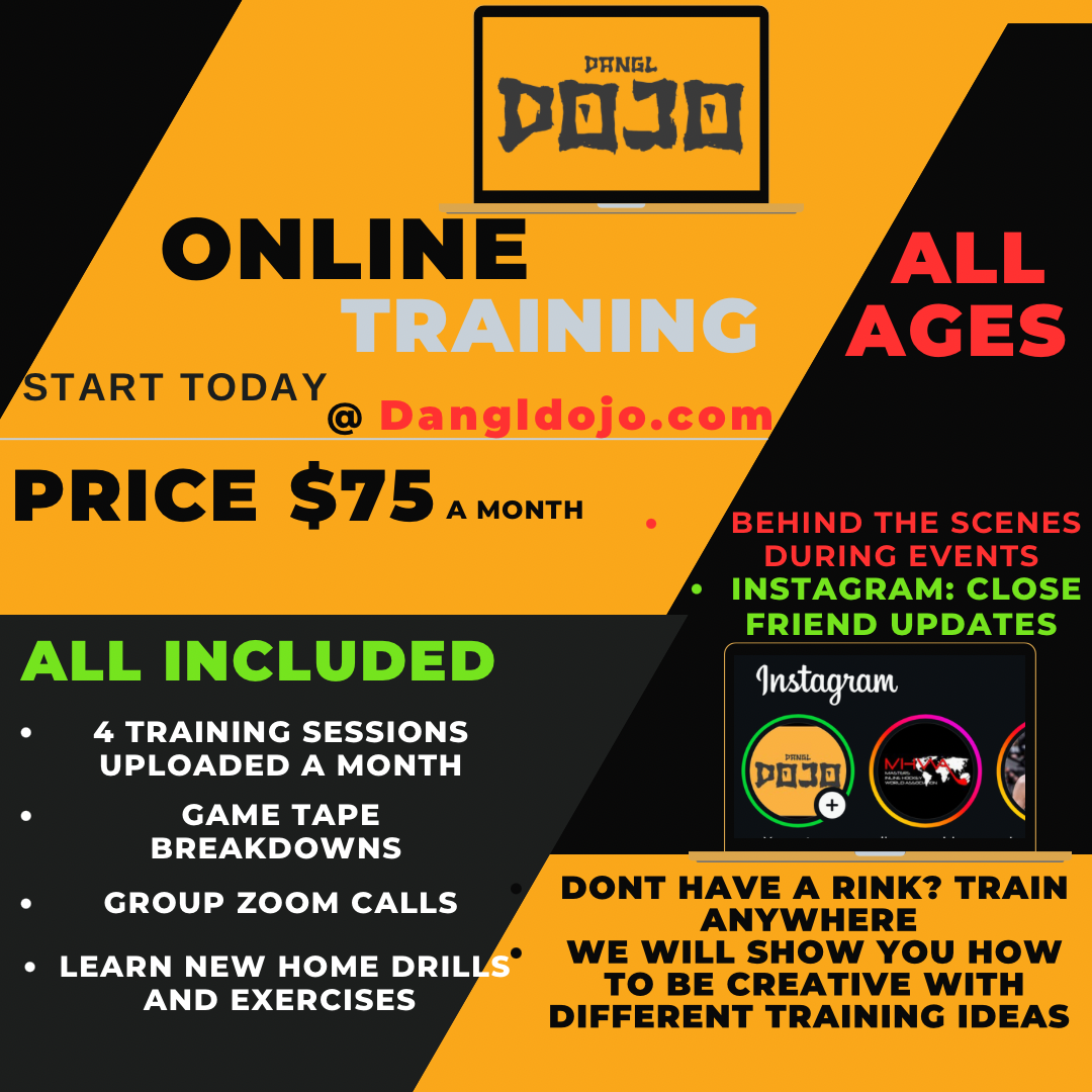 Online Hockey Training (World Wide)